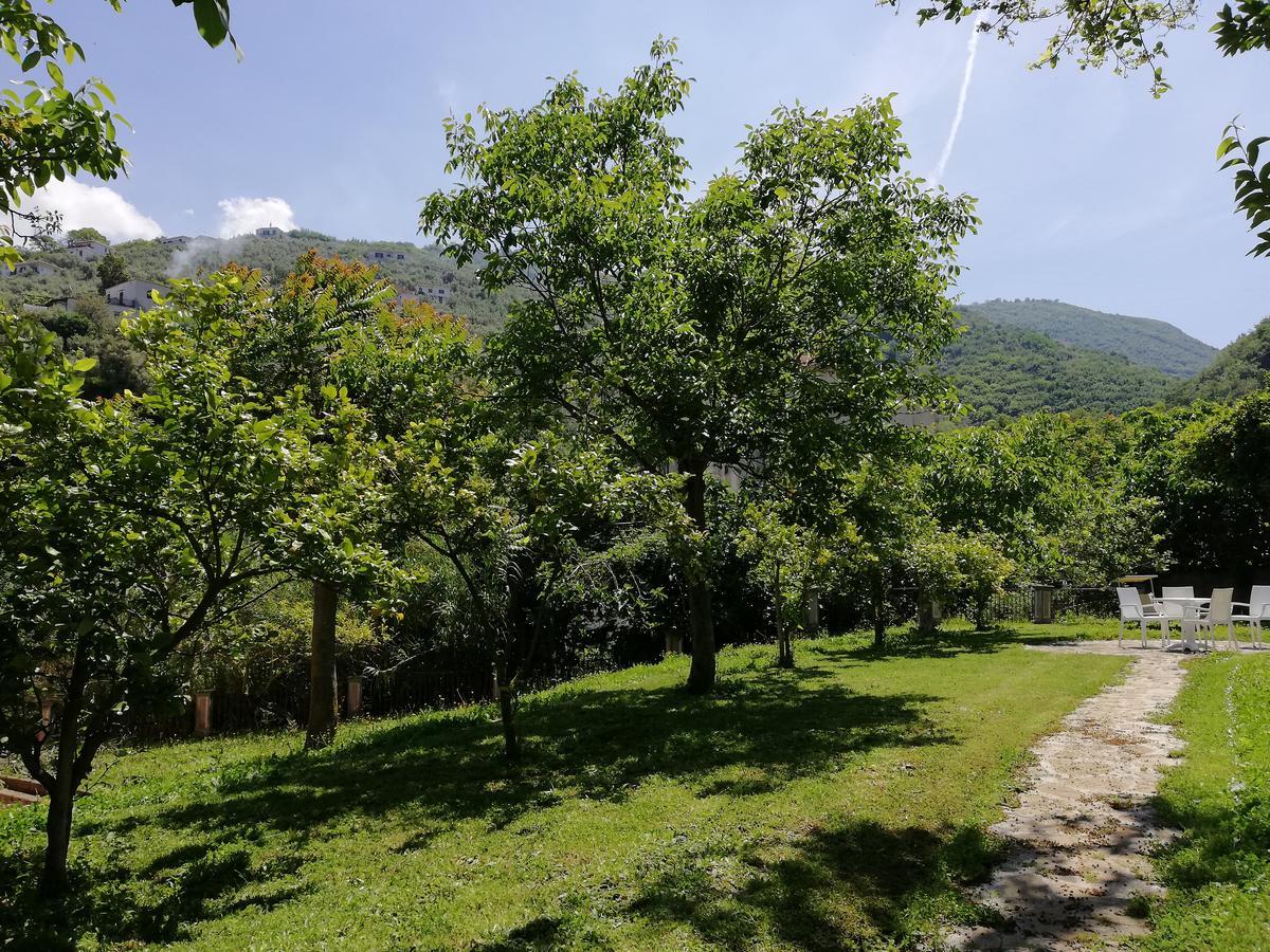 Appartamento Casale Le Noci Vico Equense Esterno foto